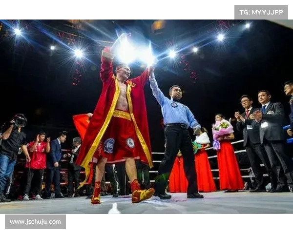 2017年拜山波拳击赛事巅峰对决全程精彩纪实